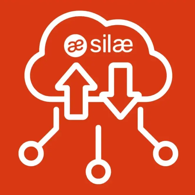 int&eacute;grateur silae