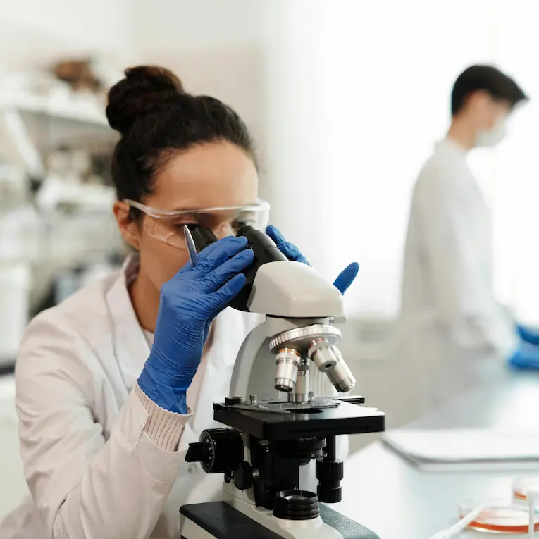 paie industrie chimique