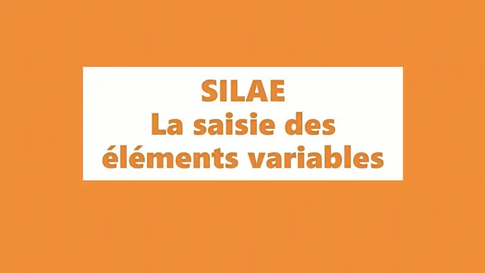 la saisie des &eacute;l&eacute;ments variables sur silae